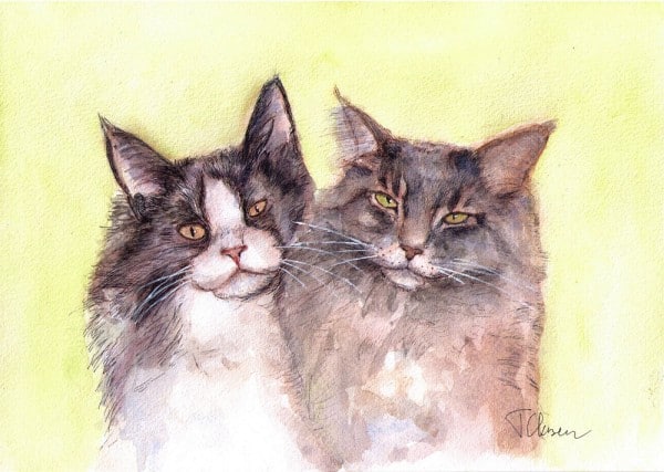 cats-portrait-painting-drawing-watercolor-pen-thomas-clausen