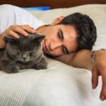 A man pets a gray cat on the head.