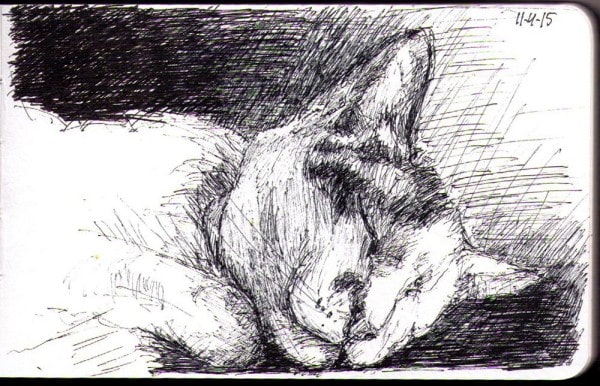 thomas-dalsgaard-clausen-2015-04-12b-drawing-of-lily-olivia-the-cat-napping
