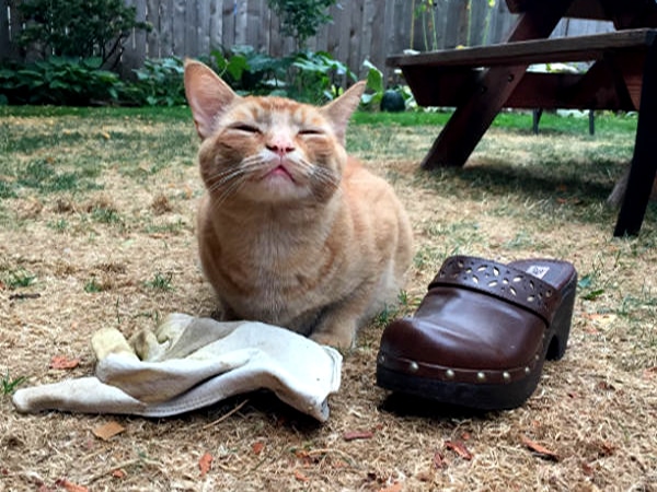 Snorri-glove-clog