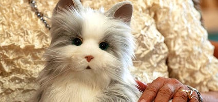 hasbro robotic cat