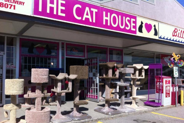 the cat house exterior
