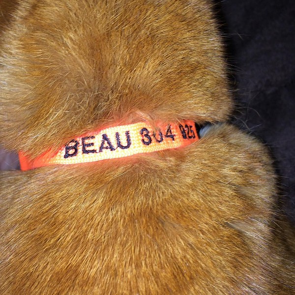 An orange cat wearing an orange collar