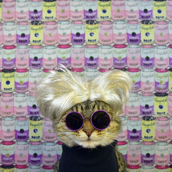 Warhol cat