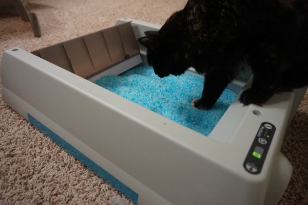 petsafe scoopfree self cleaning litter box reviews