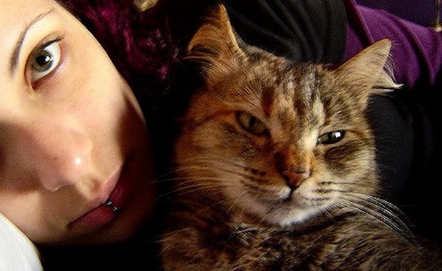 Ways To Get My Cat To Be More Calm Ways To Get My Cat To Be More Calm