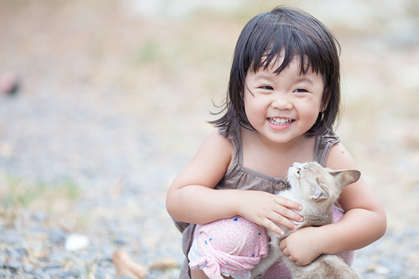 kitten with a very young girl