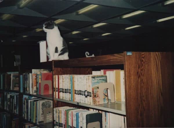 BakerShelf