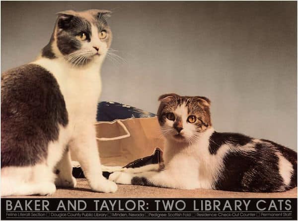 BakerTaylorPoster