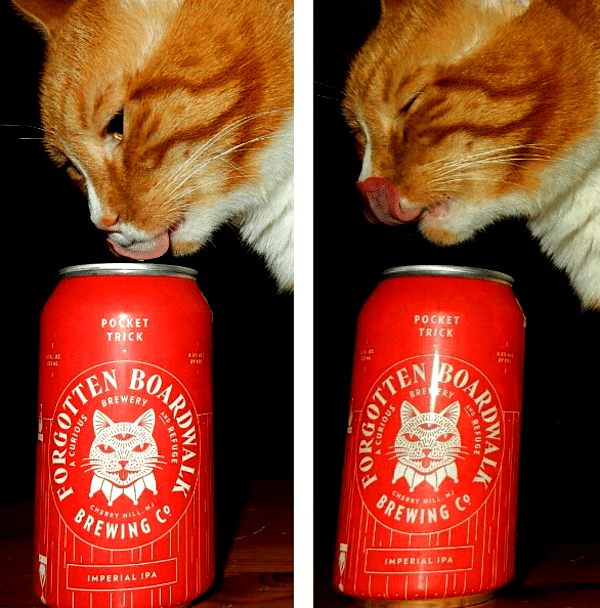 Cats Slink Their Way Into the Artwork of Craft Beer Catster