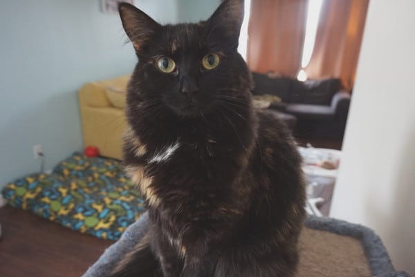 "Hug you? Are you kidding me?"