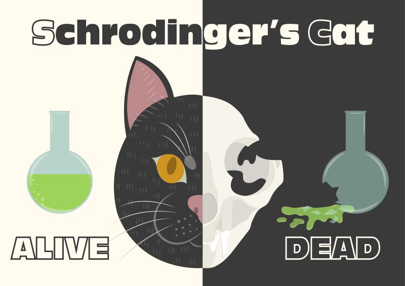 Schrodinger's cat illustration