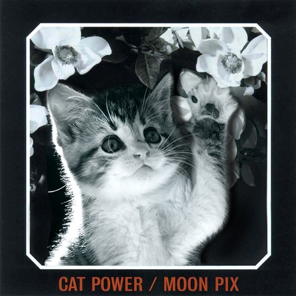cat power