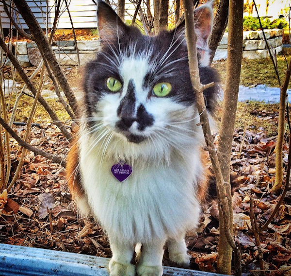 MrSpot1