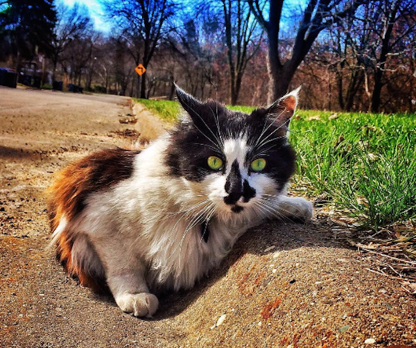 MrSpot2