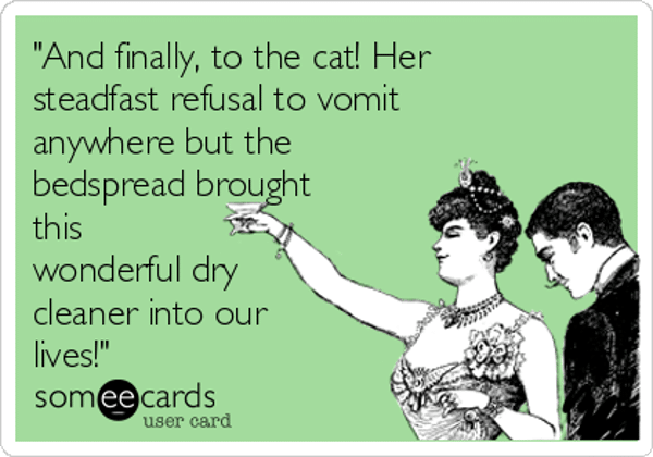 and-finally-to-the-cat-her-steadfast-refusal-to-vomit-anywhere-but-the-bedspread-brought-this-wonderful-dry-cleaner-into-our-lives-eb793
