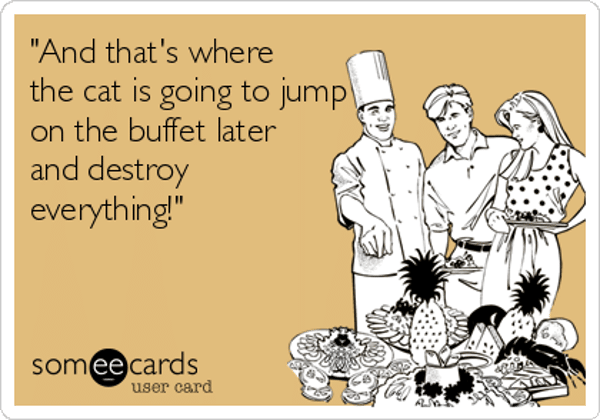 and-thats-where-the-cat-is-going-to-jump-on-the-buffet-later-and-destroy-everything-f940b