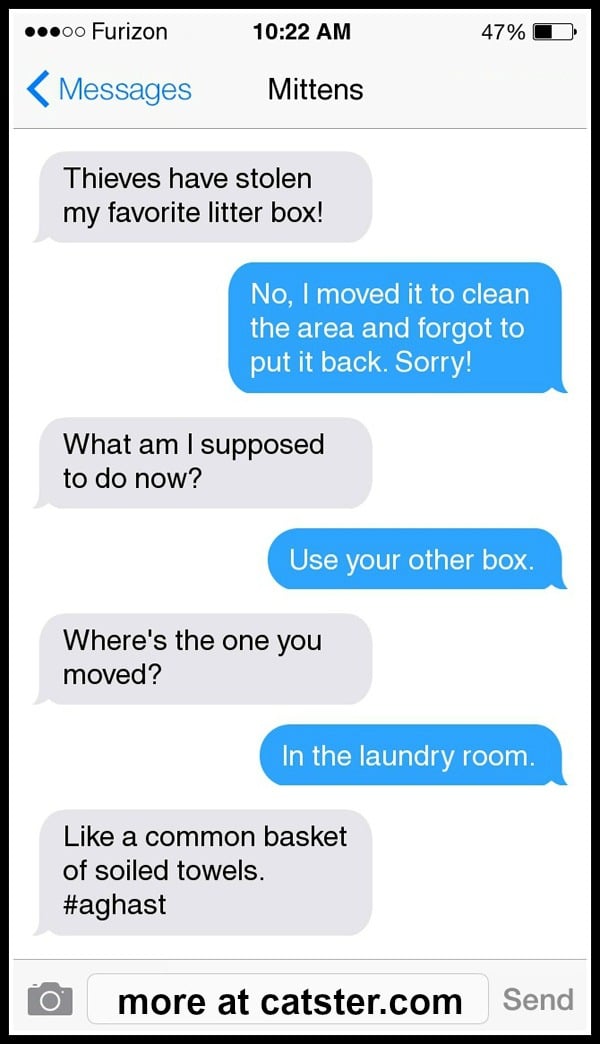 texts-from-mittens-litter-box-1