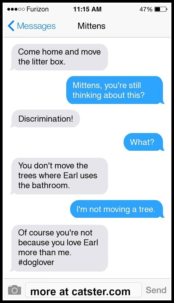 texts-from-mittens-litter-box-2