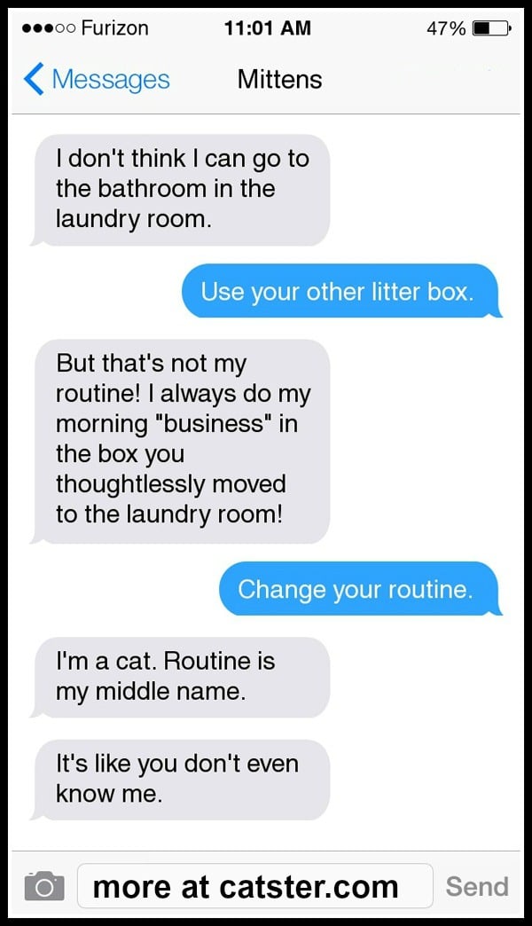 texts-from-mittens-litter-box-3