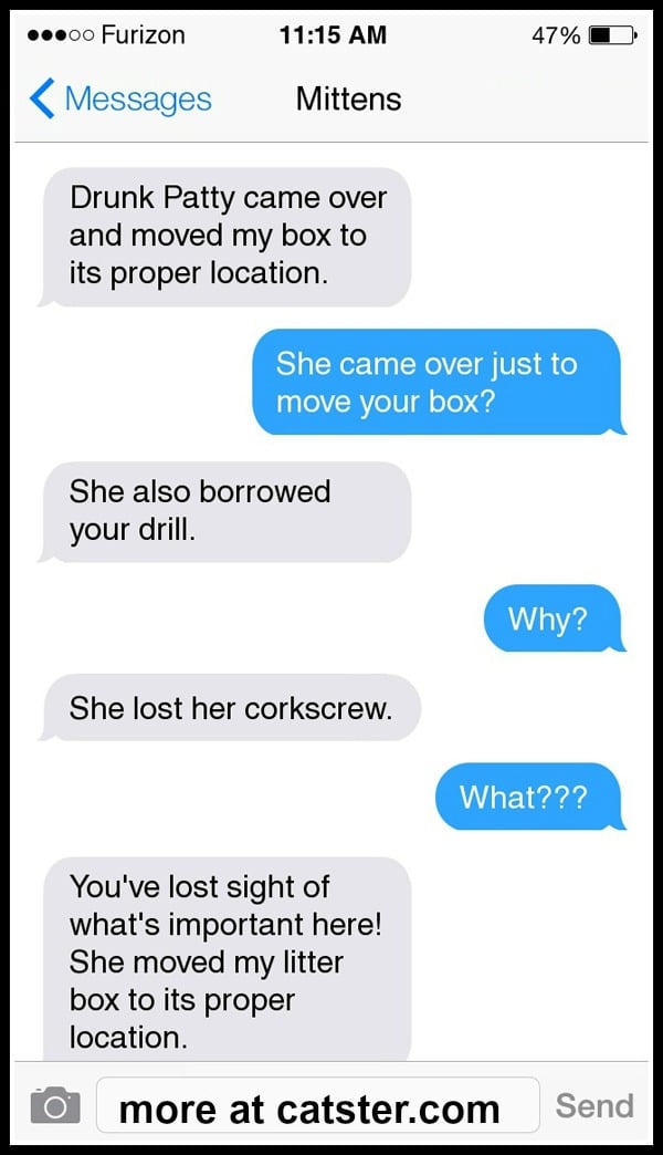 texts-from-mittens-litter-box-4