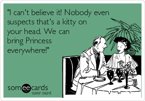 i-cant-believe-it-nobody-even-suspects-thats-a-kitty-on-your-head-we-can-bring-princess-everywhere-264e6