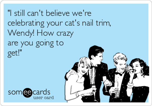 i-still-cant-believe-were-celebrating-your-cats-nail-trim-wendy-how-crazy-are-you-going-to-get--70dd0