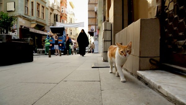 kedi-13-Yellow-street-in-KEDI