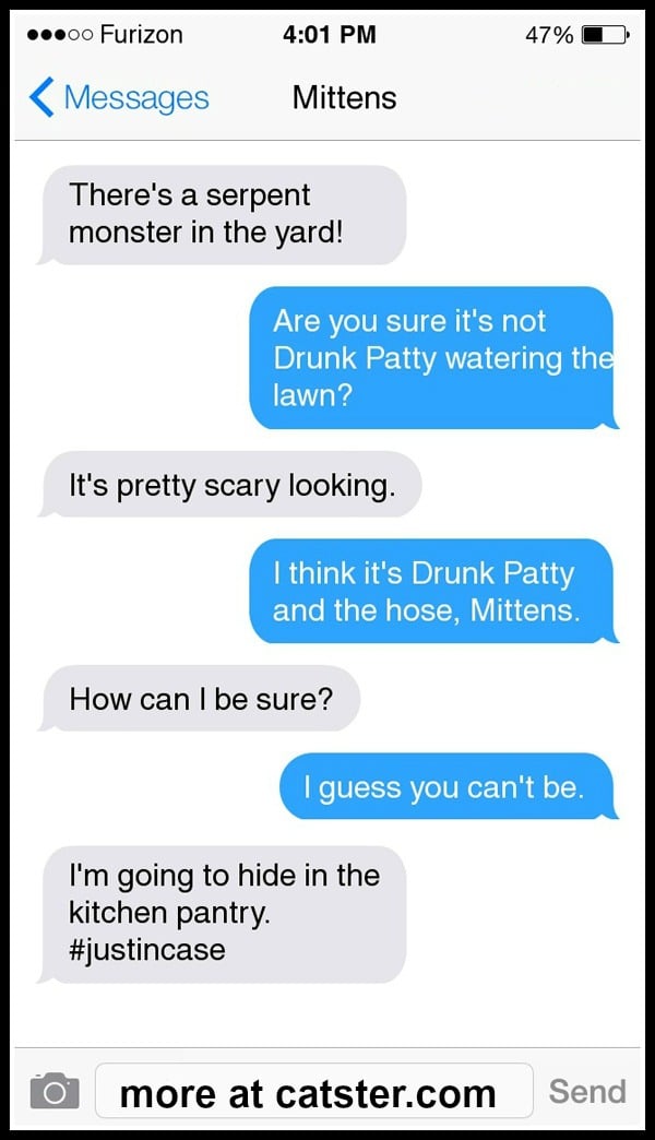 texts-from-mittens-drunk-patty-hose