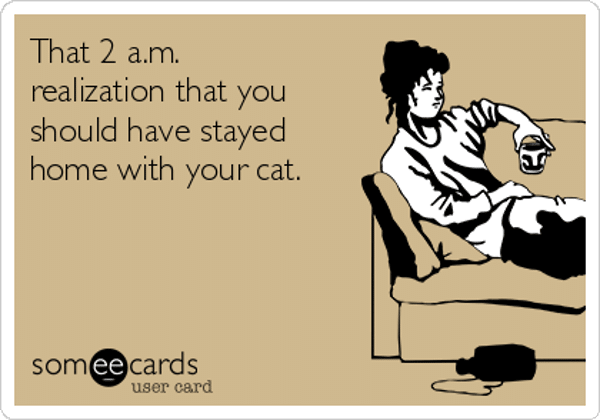 that-2-am-realization-that-you-should-have-stayed-home-with-your-cat-8d924