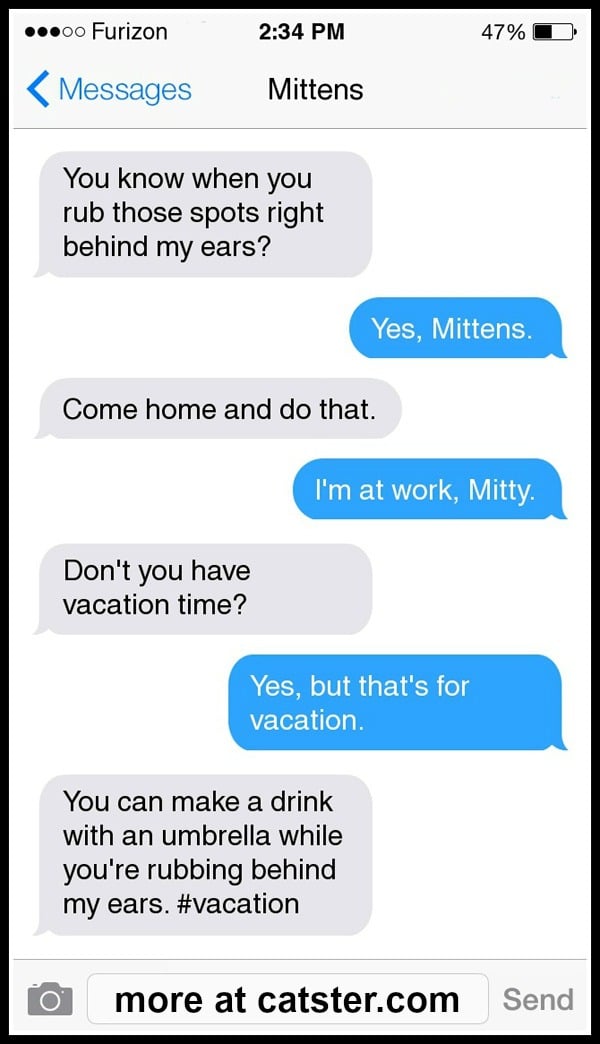 texts-from-mittens-vacation