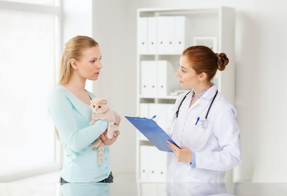 woman holding kitten talking to vet