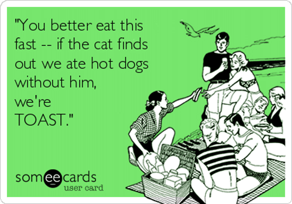 you-better-eat-this-fast-if-the-cat-finds-out-we-ate-hot-dogs-without-him-were-toast-6787e