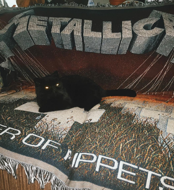 WednesdayMeowsMetal