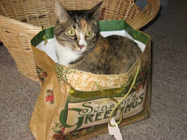 "You've got plenty of bags. Deal."