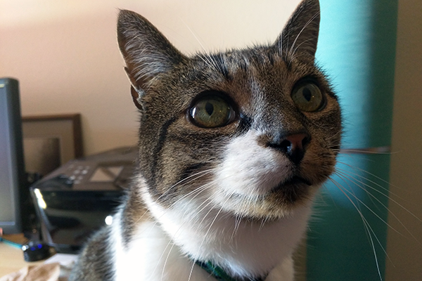 My sweet Thomas.