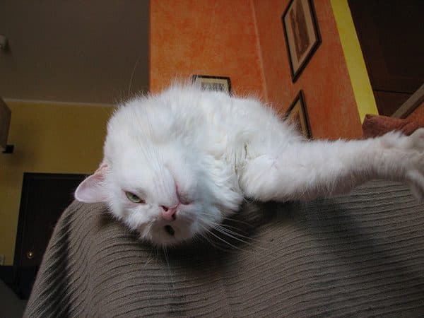 "How about this angle? Yes?"