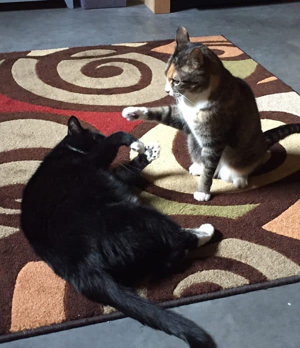 And hold ... OK, SMACK!