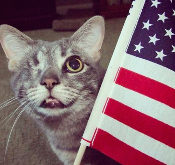 Willie1