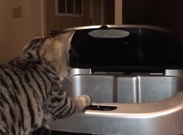 WillieSkipTrashCan