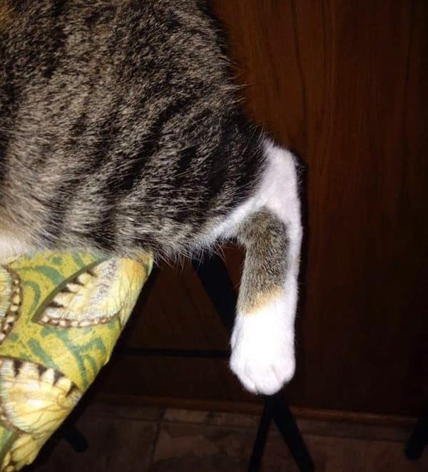 Right-angled foot dangle.