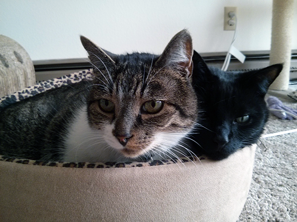 Thomas with his snuggle buddy, Belladonna.