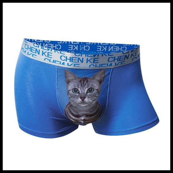 9 Pairs of CatInspired Underwear for Him and Her Catster