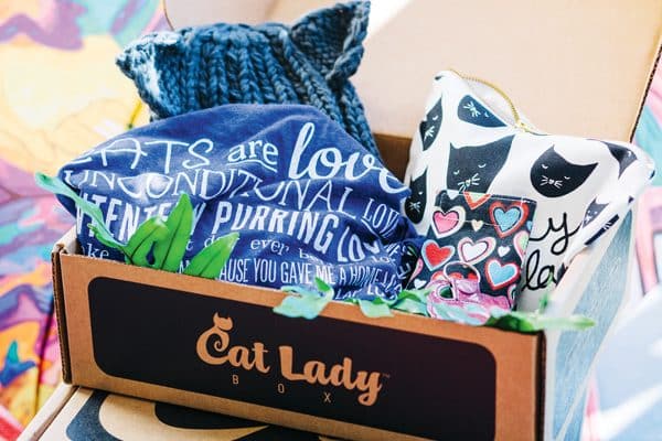 Cat-Biz-Dorian-Box-02-TN