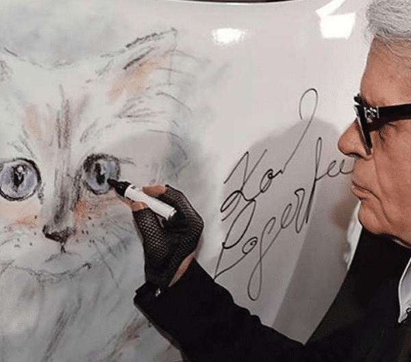 Choupette Is NOT a Diva (But She Plays Dress-Up in Secret) - Catster