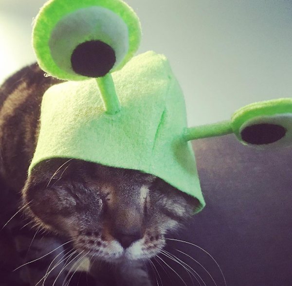 MatildaAfterAlien