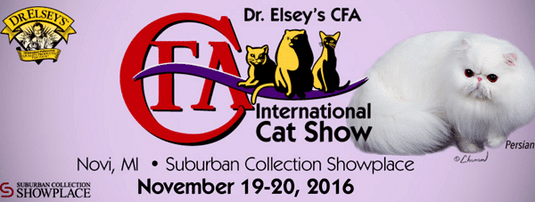 cfa-international-cat-show-header