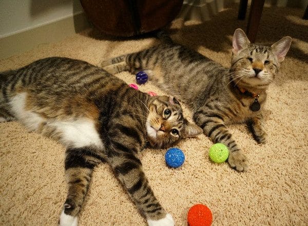 interview-oskar-klaus-carpet-toys