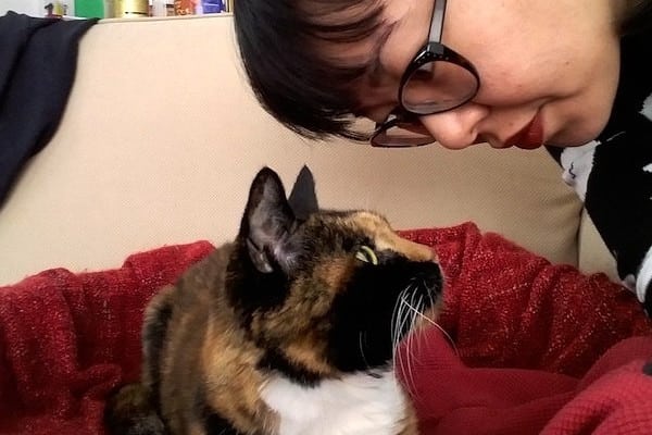 0-adopt-a-senior-cat-TN