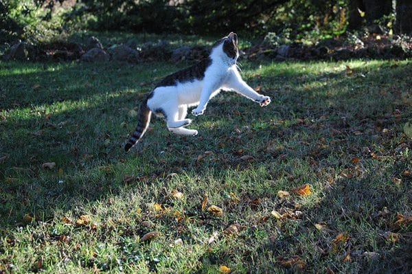 "Here I come to save the day!"